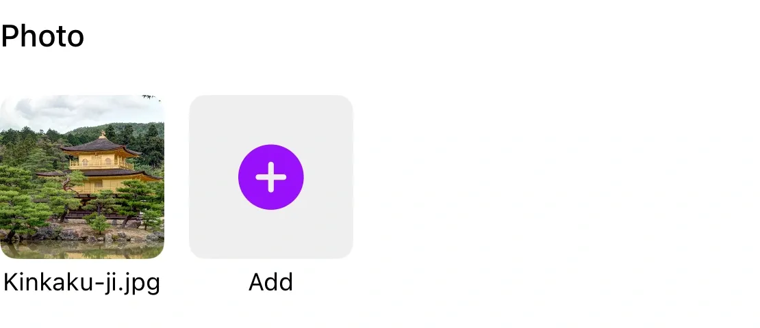A Clastly record with a file field